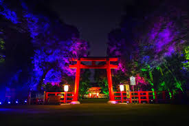 light show turns primeval kyoto forest shrine into a kaleidoscope japanese landscape light show colorful landscape