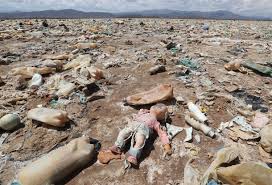World environment day 2021 is dedicated to the protection and revival of precious ecosystems all over the world. Celebrating The Most Important Day In The World Earth Day 2021 Daily Sabah