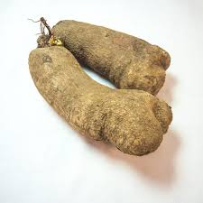 Yam