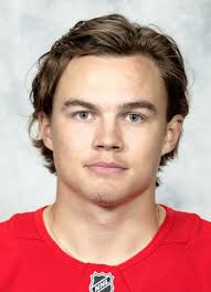 Axel Sandin-Pellika Hockey Stats and Profile at hockeydb.com