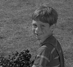 This, as you may recognize, is a map of the united states, and there's a little town there called peaksville. It S A Good Life Meeting The Monster Shadow Substance