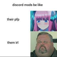Discord and slack emoji list, browse through thousands of custom emoji for your slack channel or discord server! Never Trust An Anime Girl Pfp Discord Know Your Meme