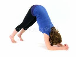 Dolphin Pose Kids Yoga Poses Yoga For Classrooms Namaste Kid Kids Yoga Poses Yoga For Kids Yoga Poses