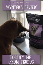 Wynter S Review Fortify Me Dog Food Topper From Trudog Food Topper Dog Food Recipes Food