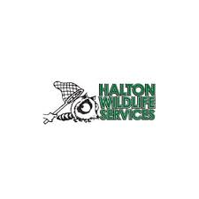 Our team is widely known as the premier provider of pest control, animal control, and elimination services in southwestern pa. Halton Wildlife Services In Burlington On 8773208984 411 Ca