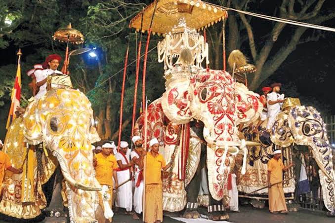 පෙරහැර සඳහා හීලෑ අලින් ලබාදීමට නව ගැසට් නිවේදනයක් නුදුරේදීම!