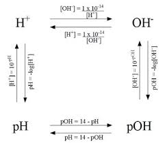 Calculations Of Ph Poh H And Oh This Could Really Come In Handy For General Chemistry Scien Chemistry Education Teaching Chemistry Chemistry Lessons
