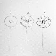Korean Artist Uploads Step By Step Tutorials On How To Draw Beautiful Flowers Flower Drawing Tutorials Flower Drawing Easy Flower Drawings