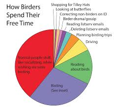 Pie Chart How Birders Spend Their Time Birder Pie Chart Birding Trips