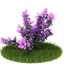 Outdoor Purple Flower 3d Model Purple Flowers Garden Purple Flowers Plants