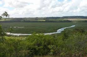 Fundador da viação itapemirim, empresa controlada por sua família até 2017, e de várias outras companhias (foto: Idosa Processa Milionario Belga Por Posse De Fazenda Em Porto Seguro