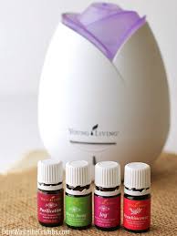 Floral ocean gardens good essential fragrance oil set (pack of 10) 5ml set includes lavender, rose, jasmine, lilac, lotus, peony, gardenia, green tea, cucumber, and ocean breeze scented oils $13.99 ($8.23/fl oz) special offers and product promotions amazon business: Why I Stopped Buying Essential Oils From Amazon
