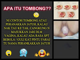 Keseluruhan rahim terkeluar daripada saluran dan permukaan faraj. Gambar Rahim Jatuh Peringkat Awal
