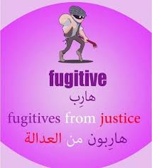 pin by hala sh yassin on learning english language learning learn arabic language english vocabulary