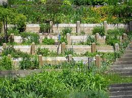 Pin By Rebecca On Ideas For The House Tiered Garden Hillside Garden Hillside Garden Ideas