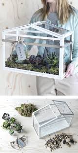A Woman Carries An Ikea Socker Greenhouse Filled With Moss And Succulents Selbstgebautes Gewachshaus Sukkulenten Zimmergewachshaus