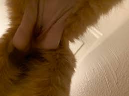 This is an inflammatory reaction and should resolve within two to three weeks. Day After Spay Incision Look Ok Thecatsite