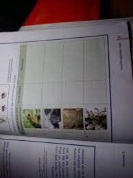 Untuk membulatkan bilangan ke puluhan terdekat berlaku aturan yaitu jika angka pada satuan kurang dari 5 maka dianggap hilang (dinolkan), jika angka pada satuan lebih dari atau sama dengan 5 maka dibulatkan ke puluhan di atasnya. Lengkapilah Tabel Di Bawah Ini Dengan Benar Plisss Bantu Butuhh Brainly Co Id