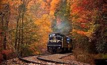 Autumn Leaf Train Ride 24
