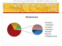 Los bioelementos están clasificados en tres grandes grupos según la siguiente tabla: Compuestos Quimicos Importantes En Los Seres Vivos