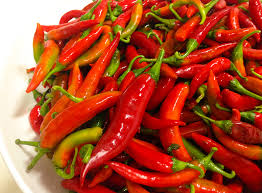 Dalla vangatura alla raccolta, passando per semine e concimazioni. Peperoncino Piccante Casa Forciniti