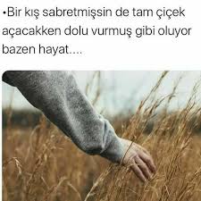 Songul Akyuz Adli Kullanicinin Guzel Resimli Mesajlariniz Panosundaki Pin 2020 Guzel Soz Hayat Kitap
