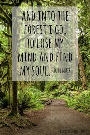 Get Outside Forest Quotes Soul Quotes Nature Quotes