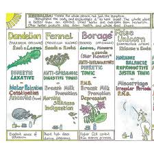 womans healing herb chart