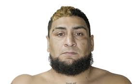 Phoenix Fury, Team Combat League Boxing