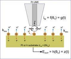 Michael rafferty interrogation pt 1 подробнее. Probing The Hydrogen Adsorption Affinity Of Pt And Ir By Surface Interrogation Scanning Electrochemical Microscopy Si Secm Sciencedirect