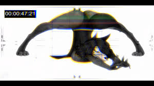 Moxifloxi containment breached