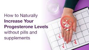 Image result for Progesterone