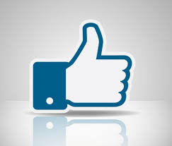 Type in a custom name for the app. How To Integrate A Facebook App Into Your Wordpress Website
