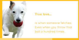 Now imagine your dog feeling that along his entire body all day, every day. 10 Tips To Make Your Dog S Life Happy Healthy Pedigree Foundation