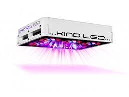 While this is a misconception, it will become a reality if you don't know how to use the. Kind Led Pflanzenlampe Europaweiter Versand Ledgrow Shop De