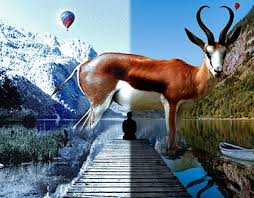 Photoshop Manipulaion Projects :: Photos, videos, logos, illustrations and  branding :: Behance