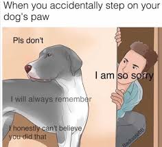 Why Are We Still Here Just To Suffer Album On Imgur