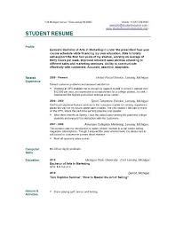 One fundamental distinction to be made is whether the resume or curriculum vitae (cv) is tailored towards a professional job or an academic position. Images Tagged Student Resume Templates Easyjob