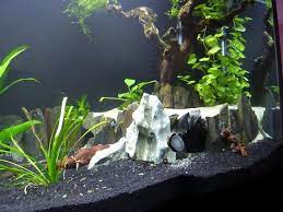 Substrate Dividers 178349 Freshwater Aquarium Aquarium Aquarium Fish