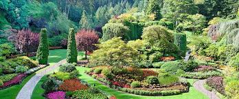 Green Fx Landscaping Commercial Landscaper