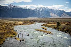 Madison river fly fishing trips in ennis, mt with trout stalkers outfitter and fly shop. Madison River Fly Fishing Guides Trips Lodges Montana Angler
