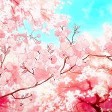 Nell kimberly on spotify orange aesthetic peach aesthetic. It S For The Aesthetic Miceforce Forums