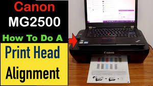 Start the ij scan utility. How To Do A Print Head Alignment In Canon Pixma Mg2500 Series Printer Youtube