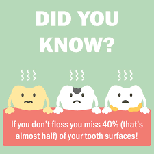 By age 21, all 32 of the permanent teeth have usually erupted. Fun Dental Facts For Kids Tooth Fairies Bad Breath And More
