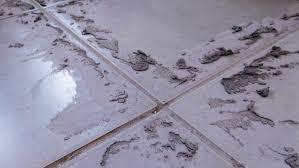 Maybe you would like to learn more about one of these? How To Remove Hard Grout From Tiles Removing Cement Grout From Tiles Diy Doctor