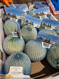 Melon Seeds - Ananas | Vegetable Seeds In Packets & Bulk | Eden Brothers