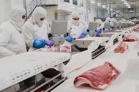México, entre los principales productores y consumidores de carne de cerdo  en Latam y el mundo - 2000Agro Revista Industrial del Campo