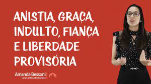 O requerente na data de ___________________ foi condenado pelo juízo da comarca de laranjeiras a uma pena de 06 (seis. Lei De Crimes Hediondos Anistia Graca Indulto Fianca E Liberdade Provisoria Youtube
