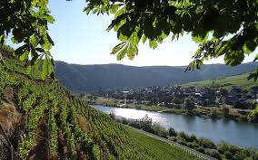Haus weingarten | unsere ferienwohnung steht für gehobene ansprüche und ist komfortabel eingerichtet mit fantastischem ausblick auf mosel & weinberge. Zimmer Pension Weingarten Ernst Mosel