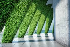 You can get creative and plant hanging. Breathtaking Living Wall Designs For Creating Your Own Vertical Garden